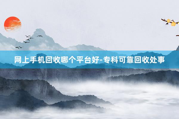 网上手机回收哪个平台好-专科可靠回收处事
