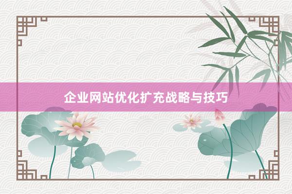 企业网站优化扩充战略与技巧